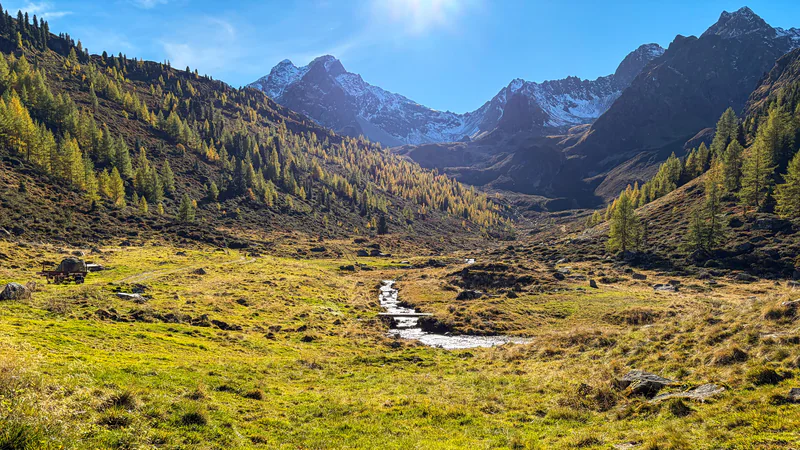 Herbstliches Almtal: goldene Lärchen und ein Bach