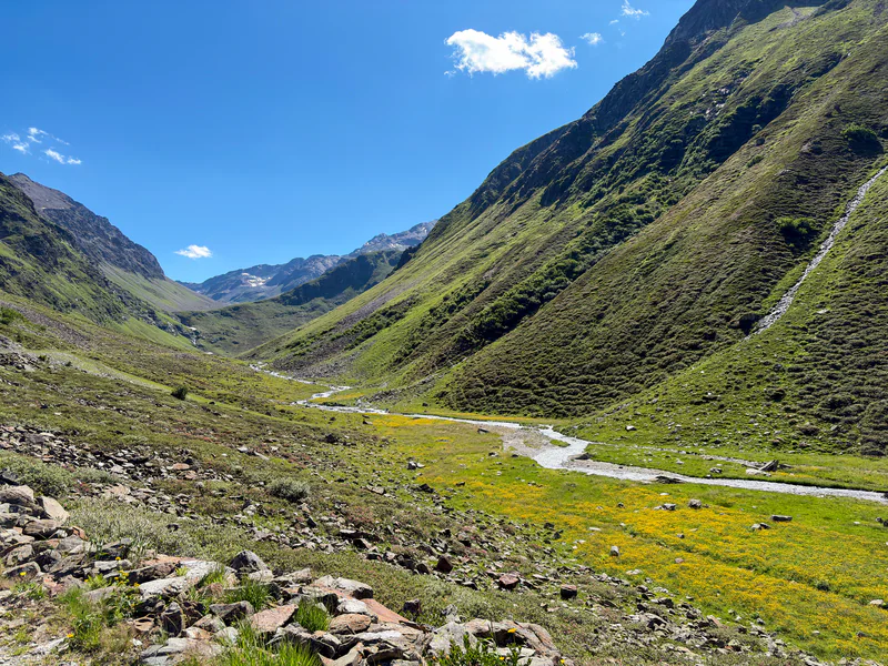 Blühendes Hochtal mit Gebirgsbach im Sommer